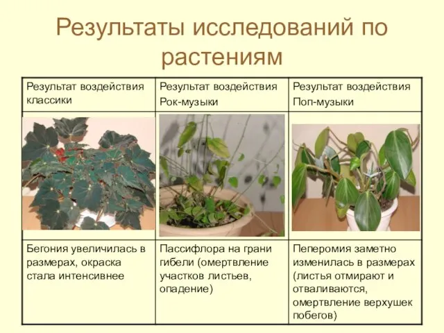 Результаты исследований по растениям