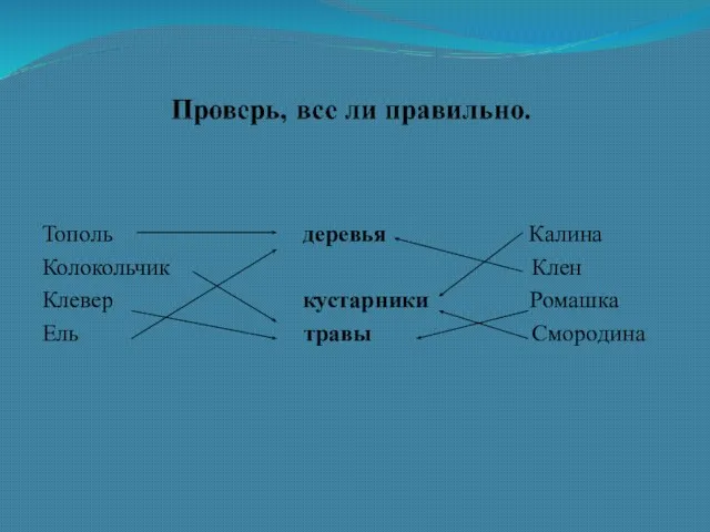 Тополь деревья Калина Колокольчик Клен Клевер кустарники Ромашка Ель травы Смородина