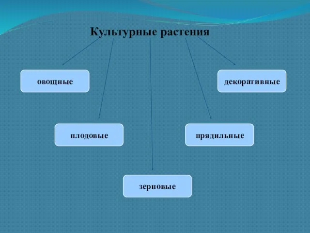 Культурные растения овощные декоративные плодовые прядильные зерновые