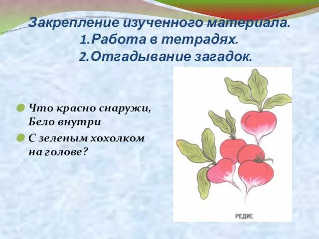 Закрепление изученного материала. 1.Работа в тетрадях. 2.Отгадывание загадок. Что красно снаружи, Бело