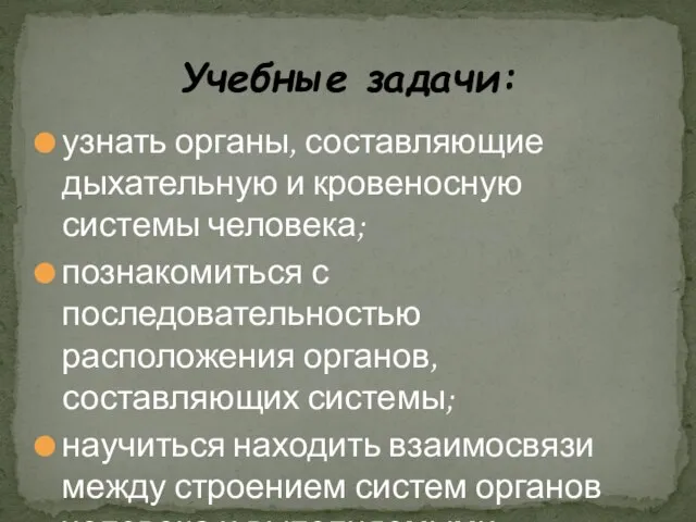 узнать органы, составляющие дыхательную и кровеносную системы человека; познакомиться с последовательностью расположения