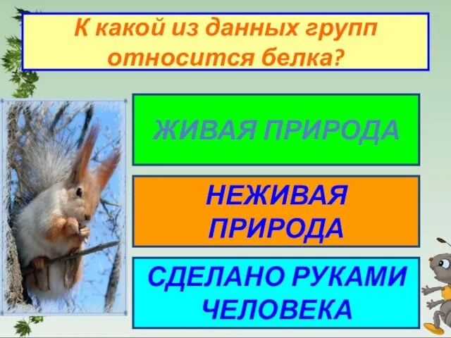 К какой из данных групп относится белка? ЖИВАЯ ПРИРОДА НЕЖИВАЯ ПРИРОДА СДЕЛАНО РУКАМИ ЧЕЛОВЕКА