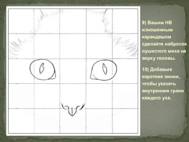 9) Вашим НВ изношенным карандашом сделайте набросок пушистого меха на верху головы.