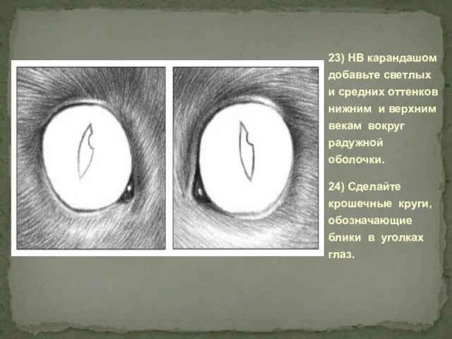 23) НВ карандашом добавьте светлых и средних оттенков нижним и верхним векам