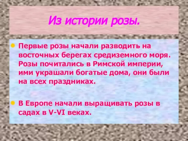 Из истории розы. Первые розы начали разводить на восточных берегах средиземного моря.