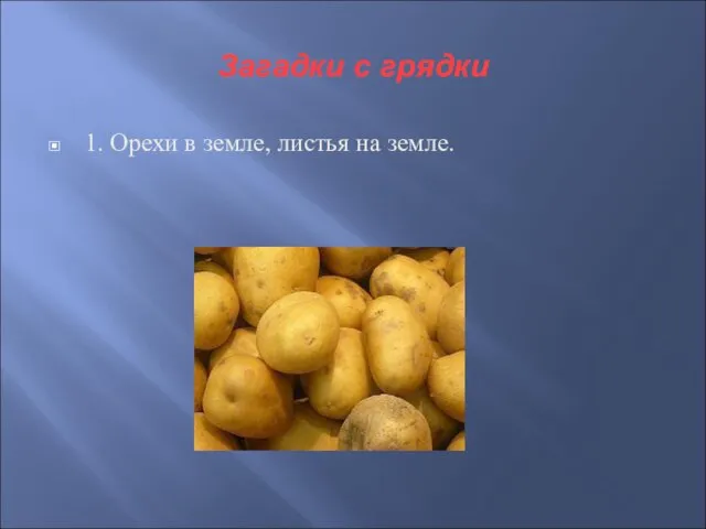 Загадки с грядки 1. Орехи в земле, листья на земле.