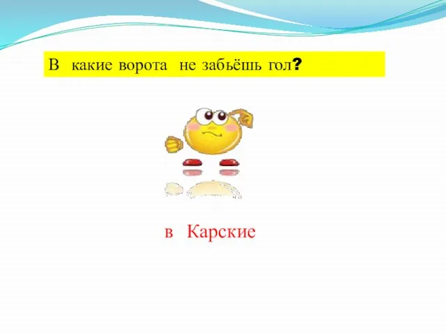 В какие ворота не забьёшь гол? в Карские