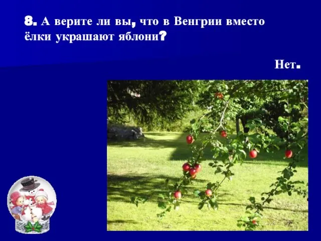 8. А верите ли вы, что в Венгрии вместо ёлки украшают яблони? Нет.