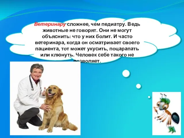 Ветеринару сложнее, чем педиатру. Ведь животные не говорят. Они не могут объяснить: