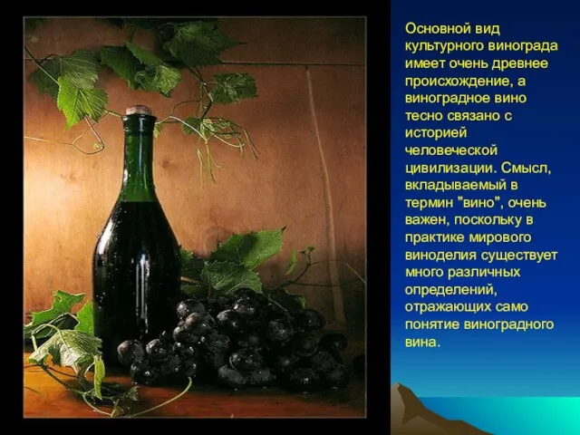Основной вид культурного винограда имеет очень древнее происхождение, а виноградное вино тесно