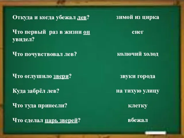 Откуда и когда убежал лев? Что первый раз в жизни он увидел?