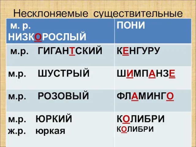 Несклоняемые существительные