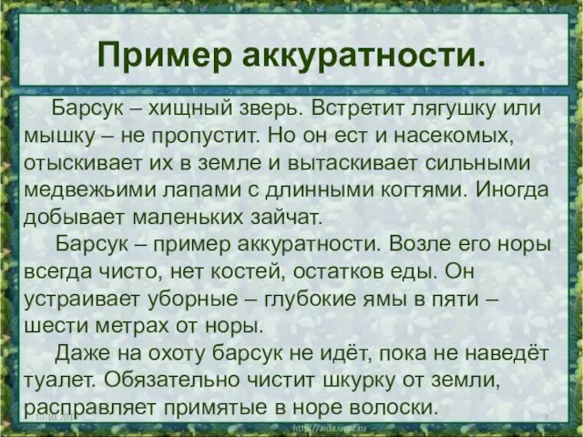 Пример аккуратности. Барсук – хищный зверь. Встретит лягушку или мышку – не