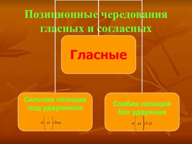 Позиционные чередования гласных и согласных Гласные Сильная позиция под ударением Слабая позиция без ударения