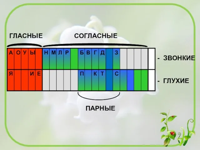 ГЛАСНЫЕ СОГЛАСНЫЕ ПАРНЫЕ - ЗВОНКИЕ - ГЛУХИЕ