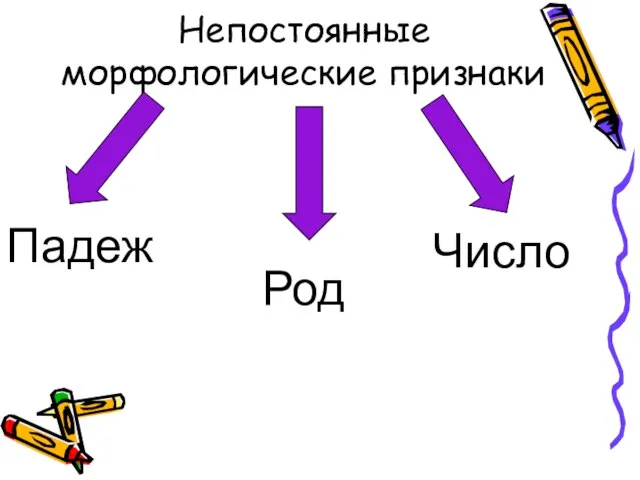 Непостоянные морфологические признаки Падеж Число Род