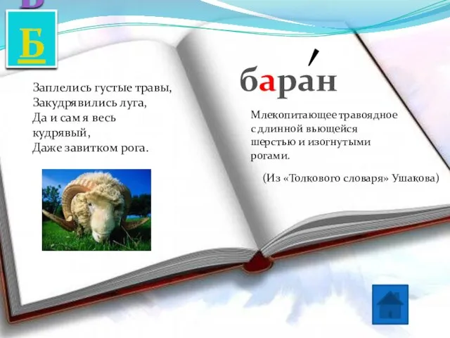 Заплелись густые травы, Закудрявились луга, Да и сам я весь кудрявый, Даже