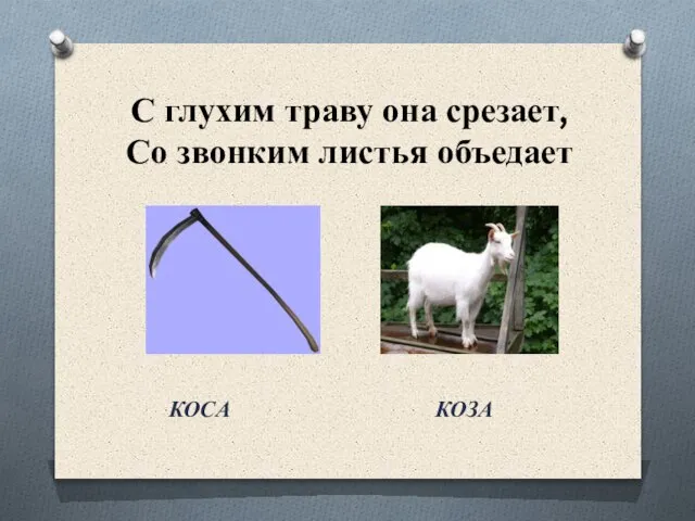 С глухим траву она срезает, Со звонким листья объедает КОСА КОЗА