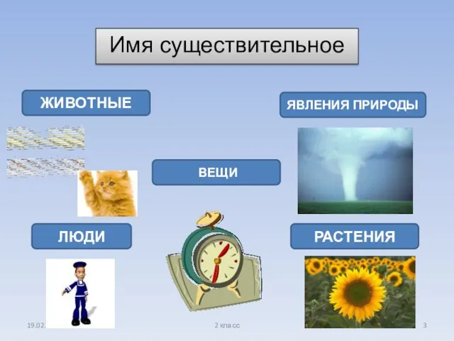 19.02.2009 2 класс Имя существительное ЖИВОТНЫЕ ЯВЛЕНИЯ ПРИРОДЫ ВЕЩИ ЛЮДИ РАСТЕНИЯ