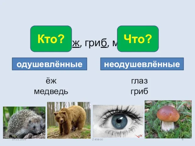 19.02.2009 2 класс Глаз, ёж, гриб, медведь. Кто? Что? одушевлённые неодушевлённые ёж медведь глаз гриб