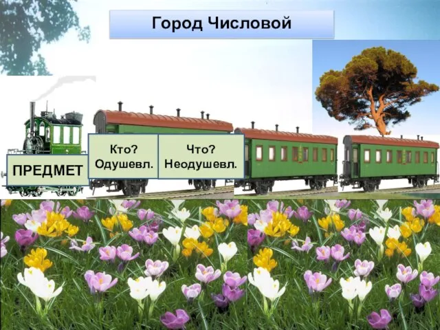 19.02.2009 2 класс Имя существительное ПРЕДМЕТ Кто? Одушевл. Что? Неодушевл. Город Числовой