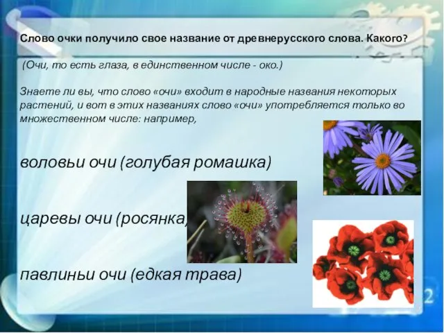 Слово очки получило свое название от древнерусского слова. Какого? (Очи, то есть