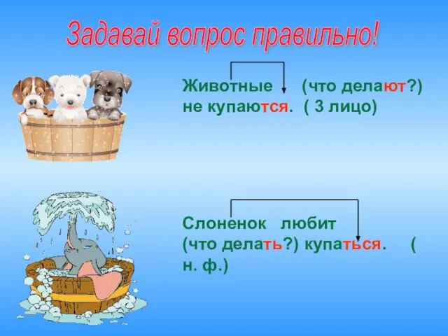 Животные (что делают?) не купаются. ( 3 лицо) Слоненок любит (что делать?)