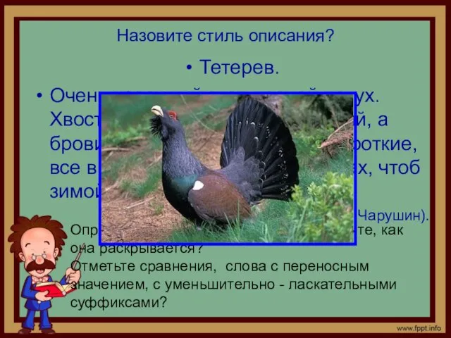 Назовите стиль описания? Тетерев. Очень красивый этот лесной петух. Хвост косицами, сам