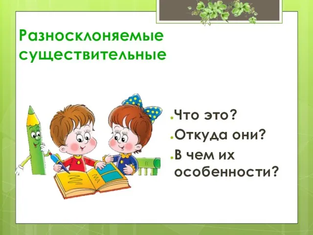 Разносклоняемые существительные Что это? Откуда они? В чем их особенности?