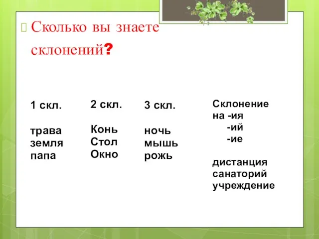 Сколько вы знаете склонений? 1 скл. трава земля папа 2 скл. Конь