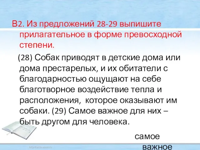 В2. Из предложений 28-29 выпишите прилагательное в форме превосходной степени. (28) Собак