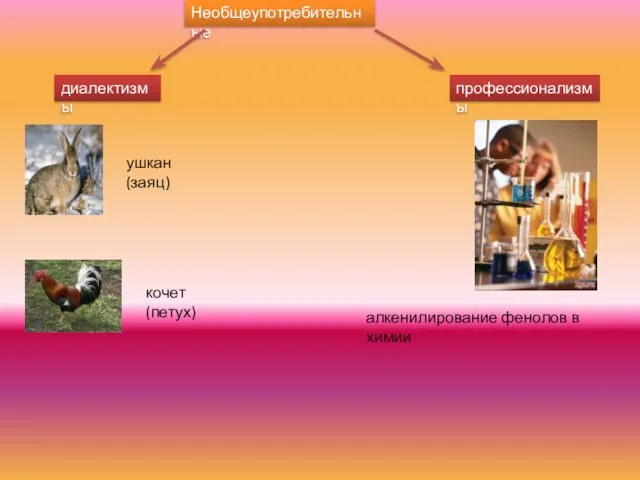 Необщеупотребительные диалектизмы ушкан (заяц) кочет (петух) профессионализмы алкенилирование фенолов в химии