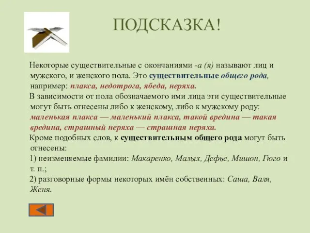 Некоторые существительные с окончаниями -а (я) называют лиц и мужского, и женского