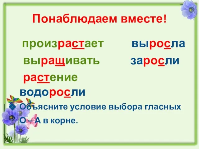 Понаблюдаем вместе! произрастает выросла выращивать заросли растение водоросли Объясните условие выбора гласных