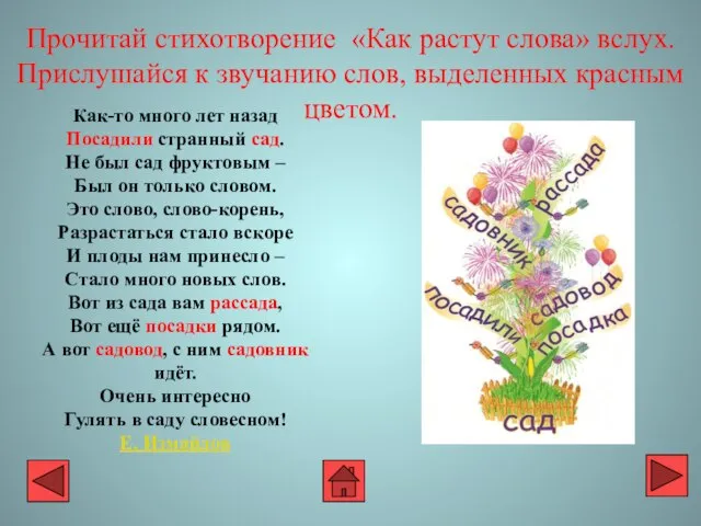 Как-то много лет назад Посадили странный сад. Не был сад фруктовым –