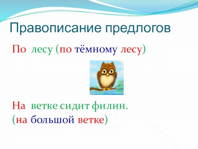 Правописание предлогов По лесу (по тёмному лесу) На ветке сидит филин. (на большой ветке)