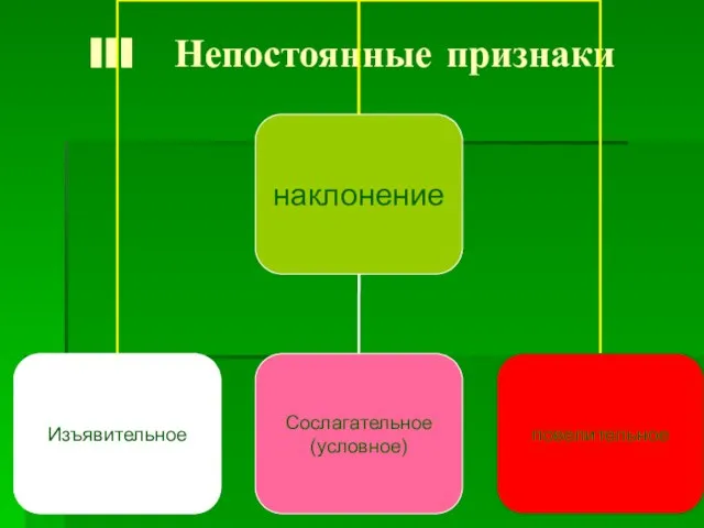 III Непостоянные признаки