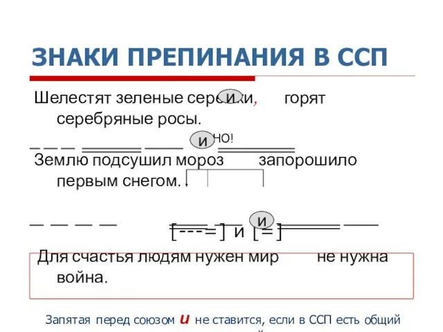 ЗНАКИ ПРЕПИНАНИЯ В ССП Шелестят зеленые сережки, горят серебряные росы. НО! Землю