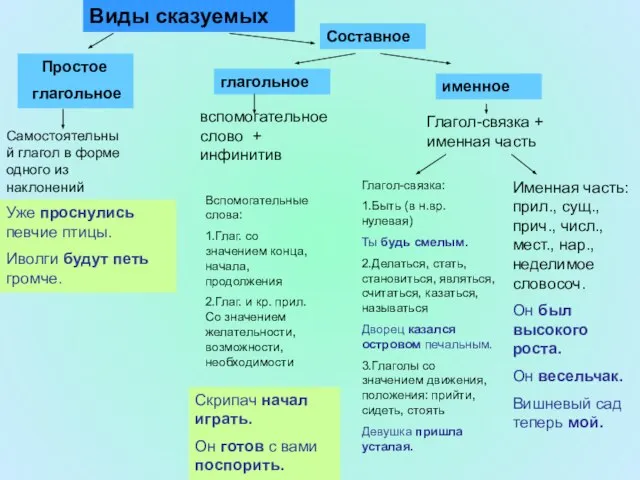 Простое глагольное Виды сказуемых Составное глагольное именное Самостоятельный глагол в форме одного