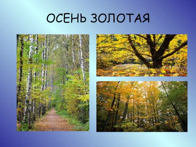 ОСЕНЬ ЗОЛОТАЯ