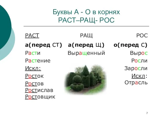 Буквы А - О в корнях РАСТ–РАЩ- РОС