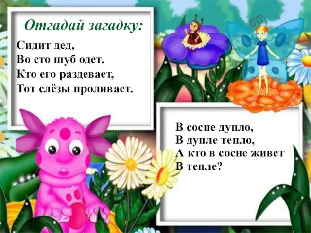 Отгадай загадку: Сидит дед, Во сто шуб одет. Кто его раздевает, Тот