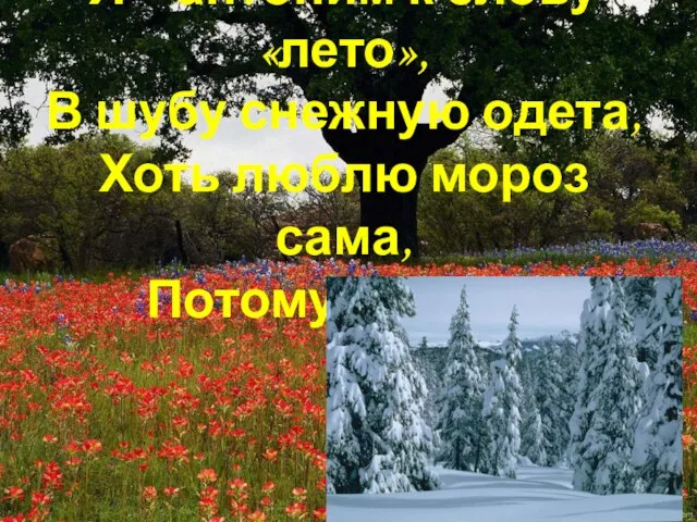 Я – антоним к слову «лето», В шубу снежную одета, Хоть люблю