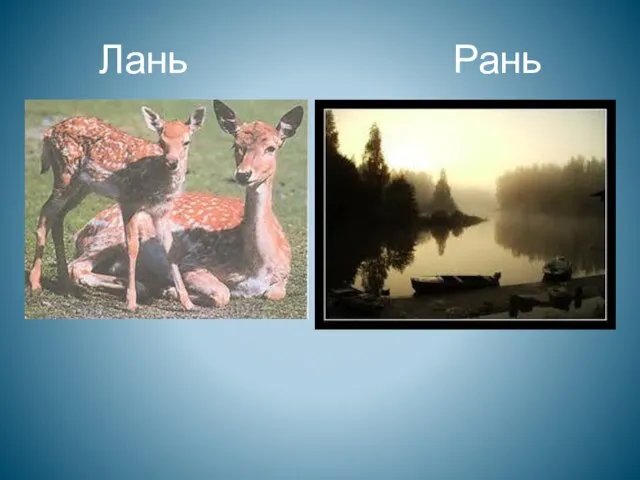 Лань Рань