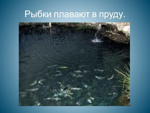 Рыбки плавают в пруду.