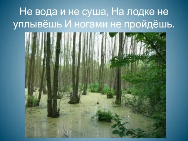 Не вода и не суша, На лодке не уплывёшь И ногами не пройдёшь.