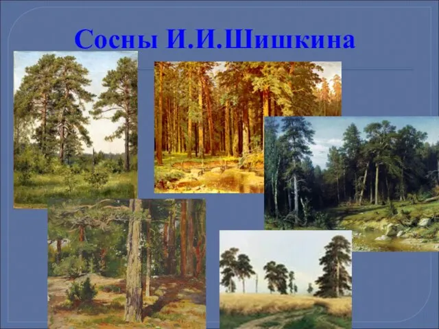 Сосны И.И.Шишкина