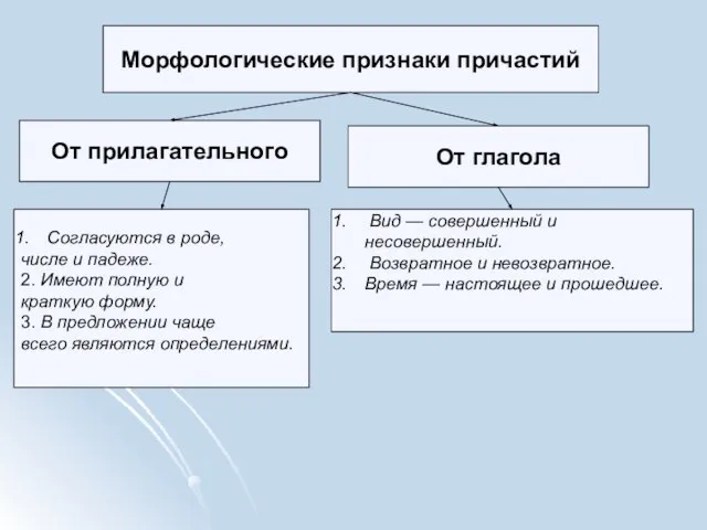 Морфологические признаки причастий От прилагательного Согласуются в роде, числе и падеже. 2.