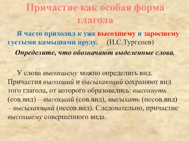 Я часто приходил к уже высохшему и заросшему густыми камышами пруду. (И.С.Тургенев)