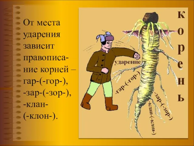 От места ударения зависит правописа-ние корней –гар-(-гор-), -зар-(-зор-), -клан- (-клон-).